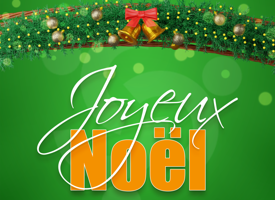 Joyeux Noël ODIP | © © Tous droits réservés 2024 | ODIP