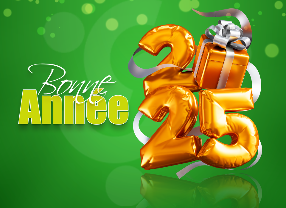 Bonne anneé ODIP | © © Tous droits réservés 2024 | ODIP