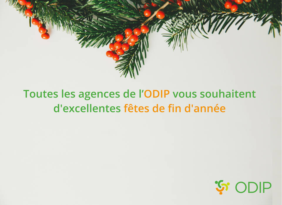 Nous vous présentons nos meilleurs vœux  ! | © ODIP